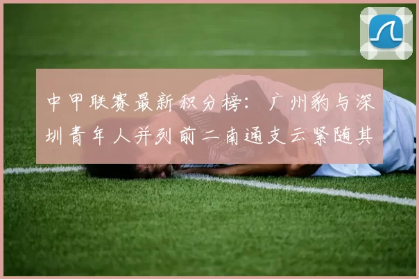 中甲联赛最新积分榜：广州豹与深圳青年人并列前二南通支云紧随其后